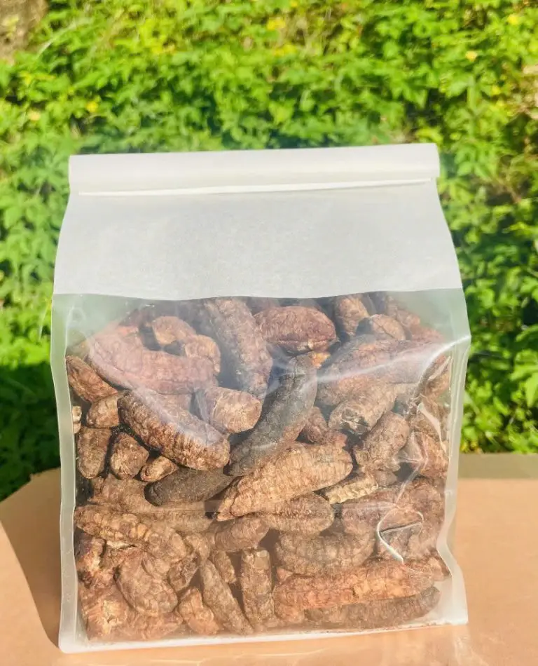 chuoi rung tay giang